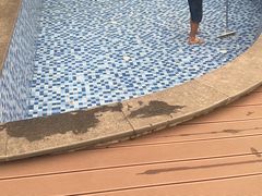 -安吉胖嫂家