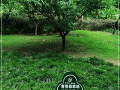 -乌山风景区