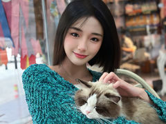 -糯米喵星人总部直营旗舰店·猫舍·幼猫出售
