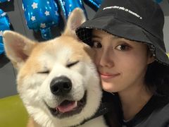 -百好乐宠物友好餐厅(朝外大街店)