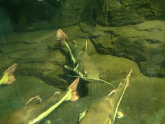 -泉州海丝野生动物世界