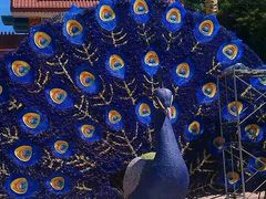 -云南民族大观园