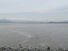 -深圳湾公园(南山区)