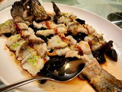 古法蒸老虎斑-利苑酒家(金宝店)