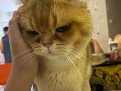 -平行世界·猫咖(首经贸店)
