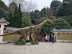 -寻龙山风景旅游区
