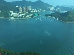 -珍妮曲奇聪明小熊(上环店)