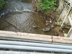 -邹记·美食(斗门店)