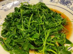 金花菜-新木器时代餐厅(太湖新天地店)