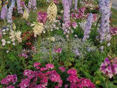 -深圳国际园林花卉博览园