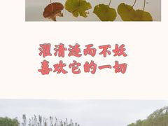 -东郊湿地公园