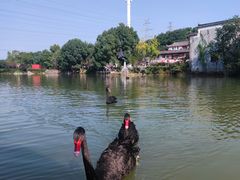 -张公山寨景区