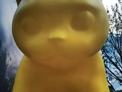 -深圳湾万象城(南山店)