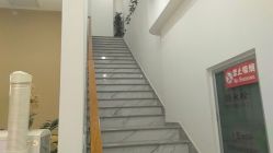 -赵大夫减肥