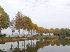 -金银湖国家城市湿地公园