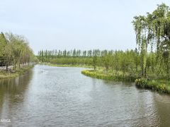 -黄海国家森林公园