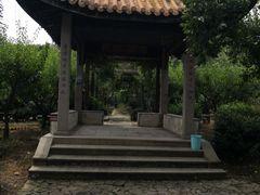 -雨花胜境