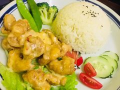 椰奶鸡肉饭-马来MO简餐.南洋风味料理(美食街店)