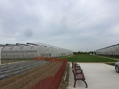 -上膳源有机农场