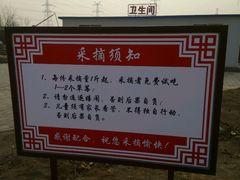 -甜心庄园·甜心草莓采摘园(西青中北店)