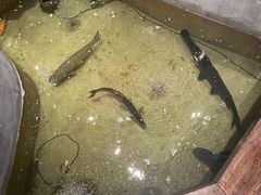 -好灶头妈妈菜·柴火灶台鱼·千岛湖土菜地标美食