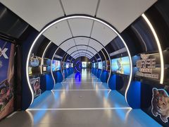 -万达影城(汉街万达广场IMAX店)