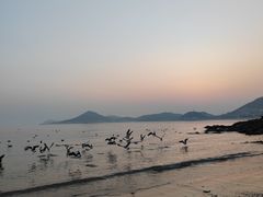 -青岛第二海水浴场