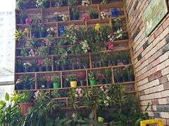 -巴壁馆(海棠花语店)