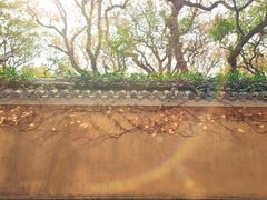 -杭州植物园