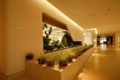 -北京和美妇儿医院