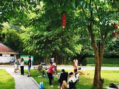 -黄埔油麻山森林公园