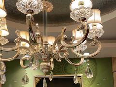 -紫光园·烤鸭(吕家营店)