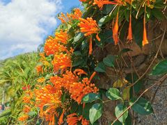 -三亚南山文化旅游区