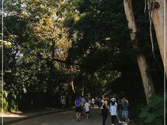 -火炉山森林公园