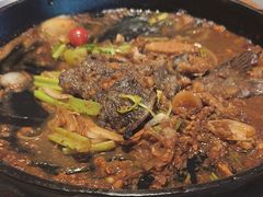 -老板恋上鱼(恒隆广场店)