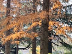 -上海不夜城广场(上海不夜城金融大厦店)