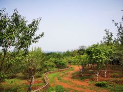 -北京西山国家森林公园