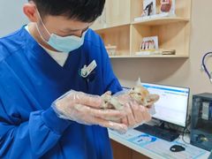 -联合动物医院(光谷诊疗中心)