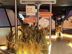 -山水温泉