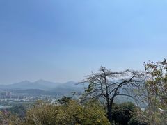 -风云岭森林公园