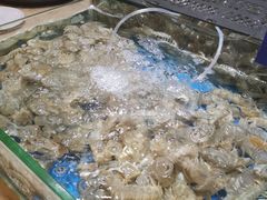 -怡乡王品海鲜姿造自助体验餐厅(大岛商业广场店)