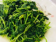 清炒豆苗-船老大饭店(太滆街店)