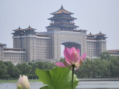 -莲花池公园