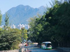 -大埔公路-马料水段香港中文大学(公交站)