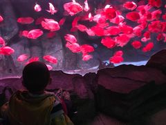 -泉城欧乐堡海洋极地世界