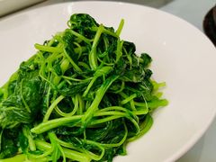 清炒苋菜-同庆楼(大钟寺店)