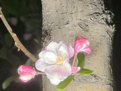 -民园广场