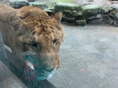 -宁波野生动物园