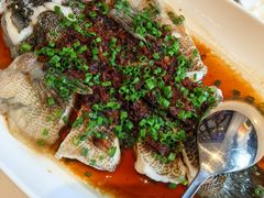 -南麓·浙里(外滩店)