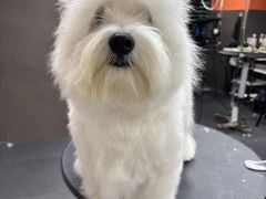 -宠宠熊宠物美容(星湖街店)